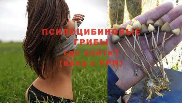 мдма Корсаков