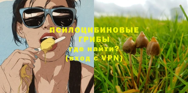 мдма Корсаков